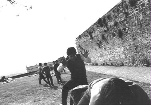 Forte Belvedere: Ciccio in volo...