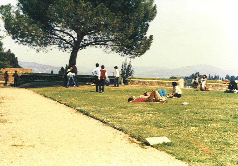 Forte Belvedere: panoramica posteriore sull'area momola