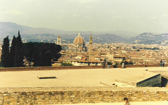 Panorama di Firenze (dal Forte Belvedere)